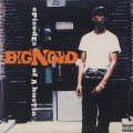 Big Noyd / Episodes Of A Hustla