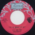 A.J. And The Jiggawatts / It Is What It Is c/w Party Music