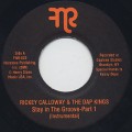 Rickey Calloway & The Dap Kings / Stay In The Groove