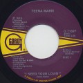 Teena Marie / I Need Your Lovin c/w Irons In The Fire-1