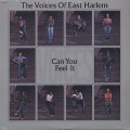 Voices Of East Harlem / Can You Feel It