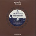 Sa-Ra Creative Partners / Misdemeanor c/w Budamunky / What I Need