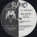 Blaze Featuring Piano Man / Hubert St.