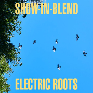 Coffee Cigarettes Band Show In Blend Cd Eletric Roots 中古レコード通販 大阪 Root Down Records Hip Hop R B