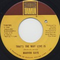 Marvin Gaye / That's The Way Love Is