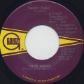 Rick James / Mary Jane (45)