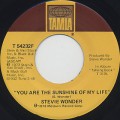 Stevie Wonder / You Are The Sunshine Of My Life