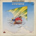 Andre Brasseur / Experience