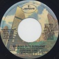Central Line / Walking Into Sunshine-1