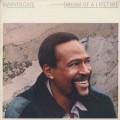 Marvin Gaye / Dream Of A Lifetime