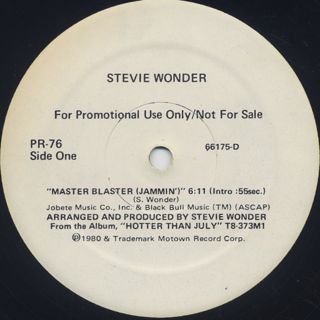 Stevie Wonder / Master Blaster (12