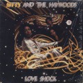 Kitty And The Haywoods / Love Shock