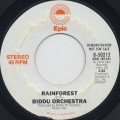 Biddu Orchestra / Rainforest