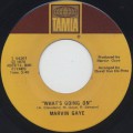 Marvin Gaye / What's Going On c/w God Is Love