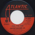 Oscar Brown Jr. / Feel The Fire-1