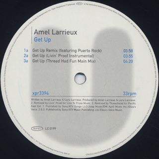 Amel Larrieux / Get Up Remix back