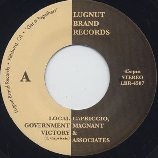 Capriccio, Magnant & Associates / Local Government Victory