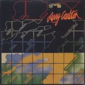 Larry Carlton / S.T.