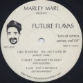 Marley Marl / Future Flavas 