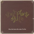 Plant Life / When She Smiles She Lights The Sky