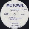 Marvin Gaye / In Our Lifetime (Promo)