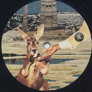 Pete Rock / INI - Lost Sessions label