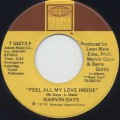 Marvin Gaye / After Dance c/w Feel All My Love Inside