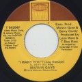 Marvin Gaye / I Want You (45)