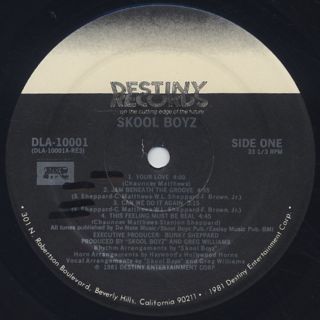 Skool Boyz / S.T. label