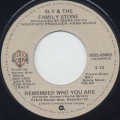 Sly and The Family Stone / Remember Who You Are (7