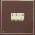 Amerigo Gazaway / A Common Wonder The Instrumentals