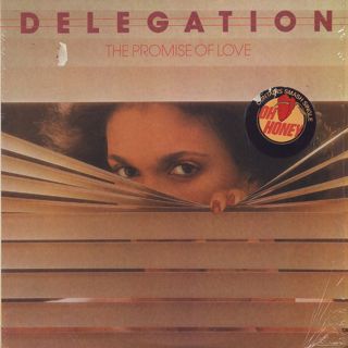 Delegation / The Promise Of Love front