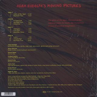 Adam Rudolph's Moving Pictures / Glare Of The Tiger back