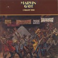 Marvin Gaye / I Want You