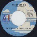 Eastbound Expressway / Never Let Go