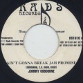 Johnny Osbourne / Ain't Gonna Break Jah Promise