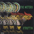 Meters / Struttin'