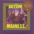 DJ Kiyo / Autum Madness 2