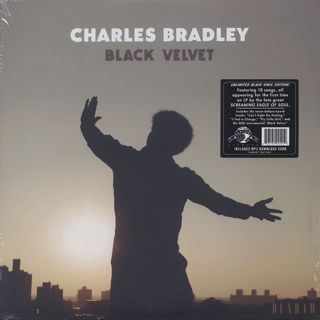 Charles Bradley / Black Velvet