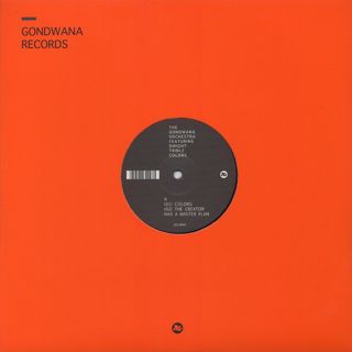Gondwana Orchestra featuring Dwight Trible / Colors front