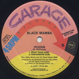 Black Mamba / Vicious back