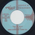 Amalgamated Funk Co. / I Wanna Take You Out