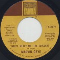 Marvin Gaye / Mercy Mercy Me (The Ecology)