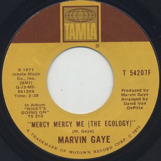 Marvin Gaye / Mercy Mercy Me (The Ecology)