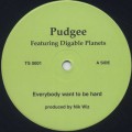 Pudgee / Everybody Want To Be Hard