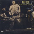 Fat Joe / Jealous One's Envy