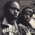 Mobb Deep / Survival Of The Fittest