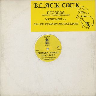 Unknown Artist / On The Nest E.P. front