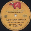 Todd Terry Project / Set You Free