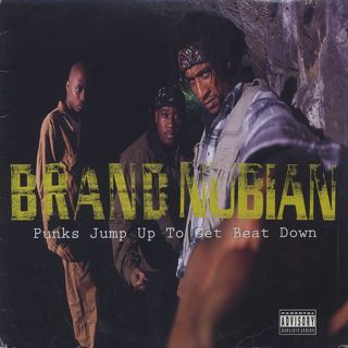 Brand Nubian / Punks Jump Up To Get Beat Down